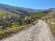 Rustici e casali in vendita di 370 m² in Via Sinistra...