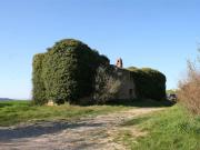 Rustici e casali in vendita di 375 m² in Strada...