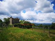 Rustici e casali in vendita di 378 m² in Via Genesio...