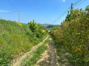 Rustici e casali in vendita di 383 m² in Contrada cagno