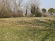 Rustici e casali in vendita di 400 m²