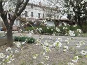 Rustici e casali in vendita di 400 m²