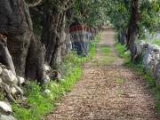 Rustici e casali in vendita di 400 m² in Contrada Eredità