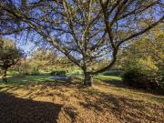 Rustici e casali in vendita di 400 m² in Via della...