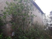 Rustici e casali in vendita di 400 m² in Via Maria Melato