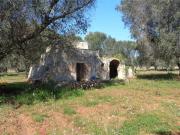 Rustici e casali in vendita di 40 m²