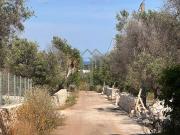 Rustici e casali in vendita di 40 m² in Contrada Bufalaria