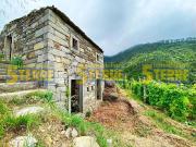 Rustici e casali in vendita di 40 m² in Località volastra
