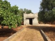 Rustici e casali in vendita di 40 m² in Via Papa...