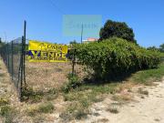 Rustici e casali in vendita di 447 m² in Via delle...