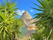 Rustici e casali in vendita di 44 m² in Strada Vicinale...