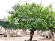 Rustici e casali in vendita di 450 m²