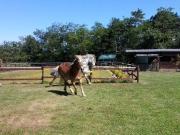 Rustici e casali in vendita di 450 m² in Via Arginone