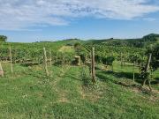 Rustici e casali in vendita di 450 m² in Via Opessina