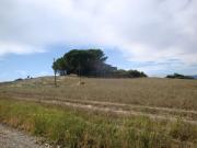 Rustici e casali in vendita di 455 m²