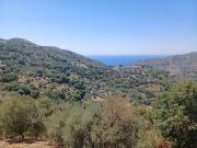 Rustici e casali in vendita di 45 m² in Via Giuseppe...