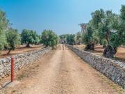 Rustici e casali in vendita di 500 m²