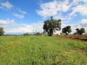 Rustici e casali in vendita di 50 m²