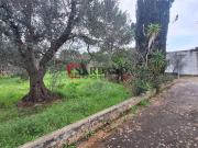 Rustici e casali in vendita di 50 m²