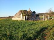 Rustici e casali in vendita di 50 m² in Contrada Campo...