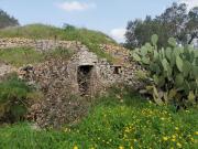 Rustici e casali in vendita di 50 m² in Contrada falgheri