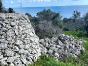 Rustici e casali in vendita di 50 m² in Via Vittorio Bottego