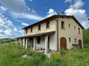 Rustici e casali in vendita di 510 m² in Località il pino