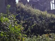 Rustici e casali in vendita di 527 m² in Viale del...