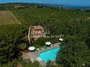 Rustici e casali in vendita di 540 m² in Via di Val...