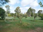 Rustici e casali in vendita di 5500 m² in Via delle Gardenie