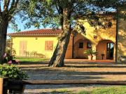 Rustici e casali in vendita di 550 m²