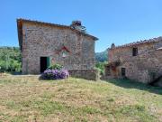 Rustici e casali in vendita di 550 m² in Località torsoli, 1