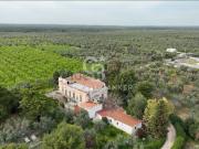 Rustici e casali in vendita di 559 m² in Via Teologo Valente