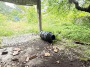 Rustici e casali in vendita di 55 m² in Contrada calabrese