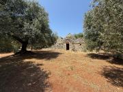 Rustici e casali in vendita di 55 m² in Contrada Parchitella