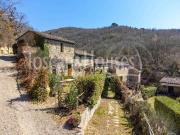 Rustici e casali in vendita di 600 m²