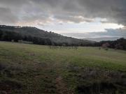 Rustici e casali in vendita di 600 m²