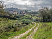 Rustici e casali in vendita di 600 m² in Viale Tiberina