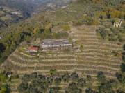 Rustici e casali in vendita di 60 m²