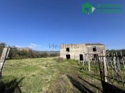 Rustici e casali in vendita di 60 m²