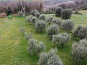 Rustici e casali in vendita di 60 m² in Località Penna...