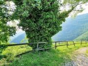 Rustici e casali in vendita di 60 m² in Via Zeggio