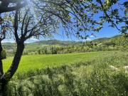 Rustici e casali in vendita di 615 m² in Strada delle...