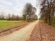 Rustici e casali in vendita di 625 m²