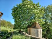 Rustici e casali in vendita di 640 m² in Via della...