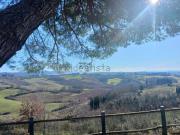 Rustici e casali in vendita di 650 m² in Via Orazio Bacci