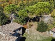 Rustici e casali in vendita di 660 m² in Località San...