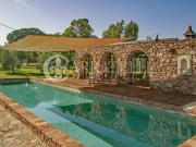 Rustici e casali in vendita di 667 m² in Viale dei...