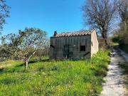 Rustici e casali in vendita di 6800 m² in Strada della Barca