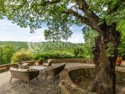 Rustici e casali in vendita di 680 m² in Via Diacceto, 76